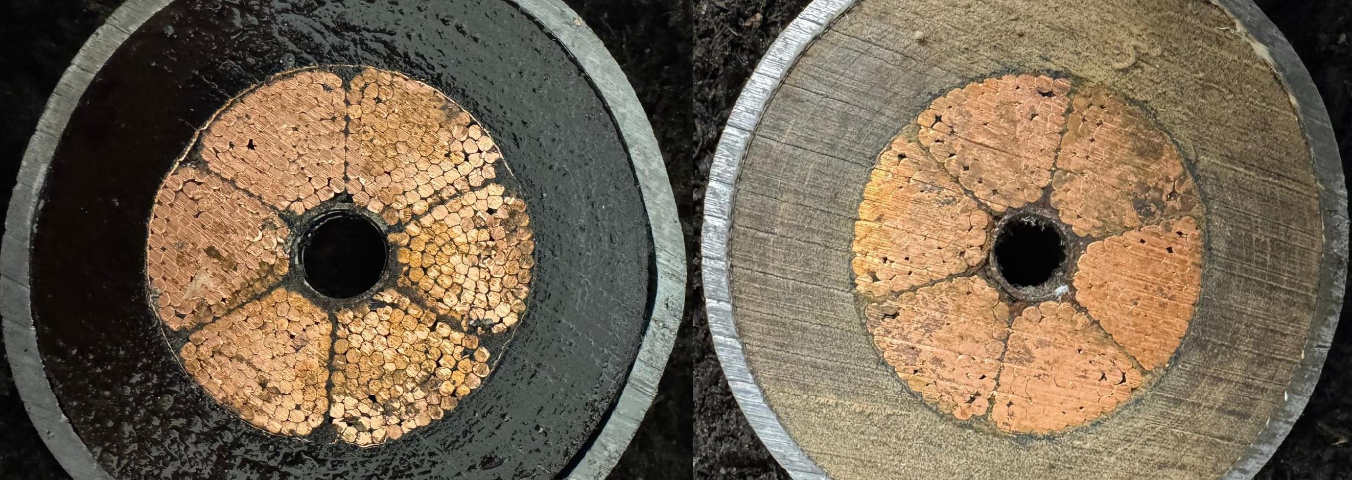 Two cored cross-sections of the same oil-filled cable side by side: before treatment the paper insulation is black and saturated with dielectric oil, after treatment it is dry and clean