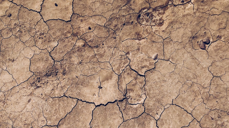Cracked and dried hydrocarbon-contaminated soil at a legacy industrial site